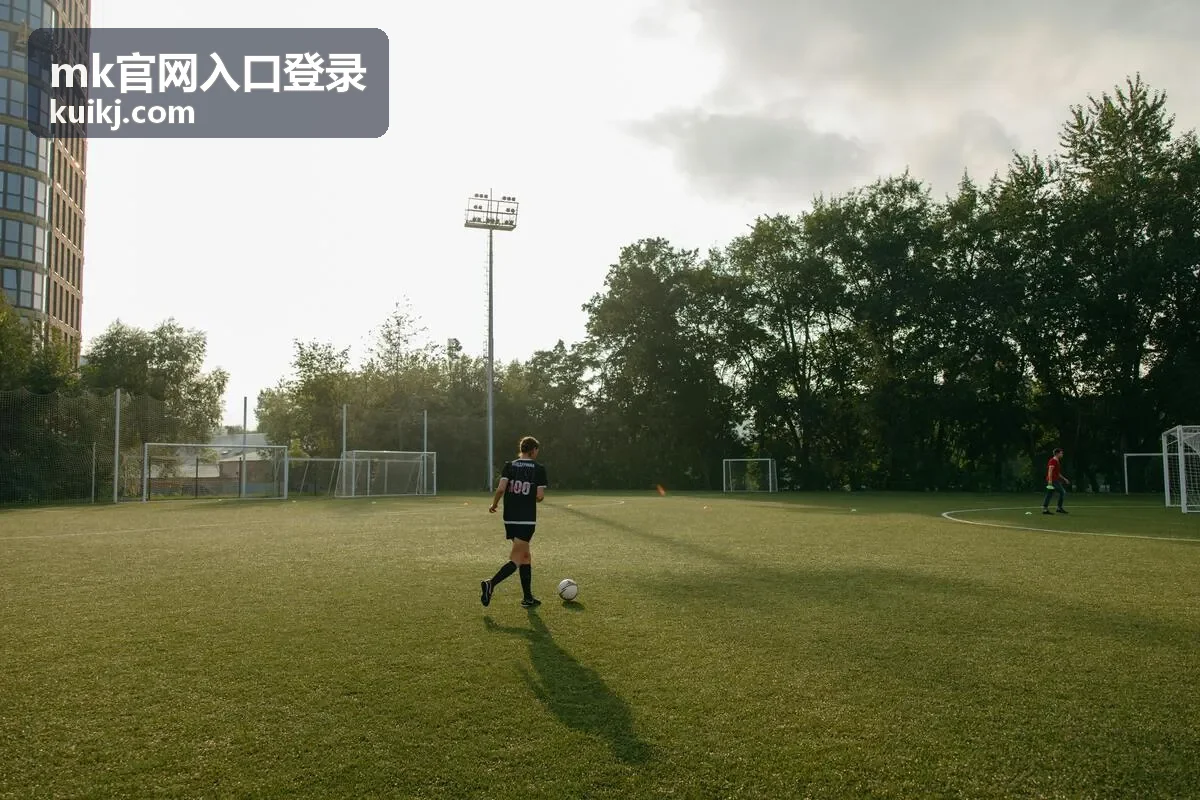 MK官网入口登录-登录后安全提醒示意图